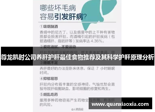 尊龙凯时公司养肝护肝最佳食物推荐及其科学护肝原理分析